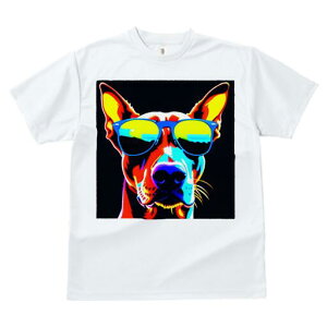 h[x} TVc fB[X t@  t  vg JWA 킢 lԗp h ̃fUC ʔ TOX h[x}