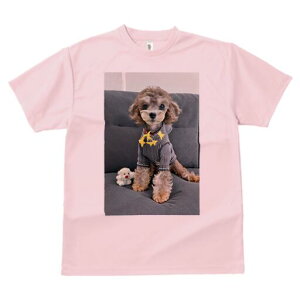 gCv[h TVc Y LbY t@  t  vg JWA 킢 lԗp h ̃fUC ʔ ʂ gCv[h 