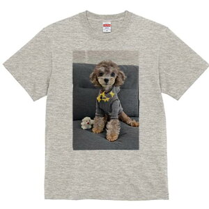 gCv[h TVc Y LbY t@  t  vg JWA 킢 lԗp h ̃fUC ʔ ʂ gCv[h 