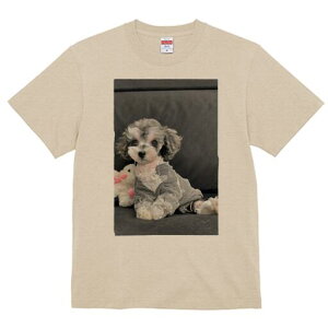 gCv[h TVc Y LbY t@  t  vg JWA 킢 lԗp h ̃fUC ʔ ʂ gCv[h