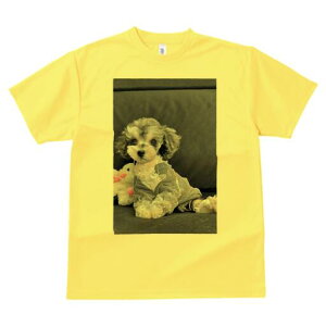 gCv[h TVc Y LbY t@  t  vg JWA 킢 lԗp h ̃fUC ʔ ʂ gCv[h