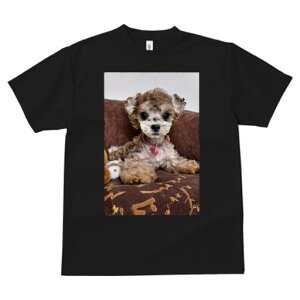 トイプードル Tシャツ レディース 犬ファン 半袖 春夏 犬柄 プリント カジュアル かわいい 人間用 個性派 ここだけのデザイン 面白 ぬいぐるみ トイプードル クッション ハート