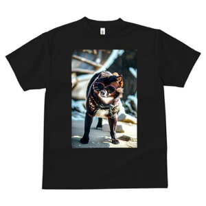 Č TVc fB[X t@  t  vg JWA 킢 lԗp h ̃fUC ʔ TOX Č