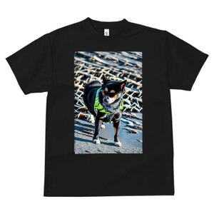 Č TVc fB[X t@  t  vg JWA 킢 lԗp h ̃fUC ʔ TOX Č o_i xXg