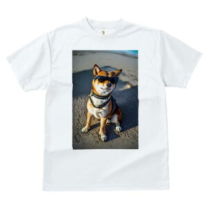 Č TVc fB[X t@  t  vg JWA 킢 lԗp h ̃fUC ʔ TOX Č l