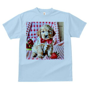 S[fgo[ TVc Y LbY t@  t  vg JWA 킢 lԗp h ̃fUC ʔ C`S S[fgo[ ԂlN^C 