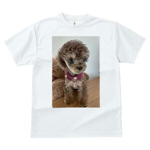 トイプードル Tシャツ メンズ キッズ 犬ファン 半袖 春夏 犬柄 プリント カジュアル かわいい 人間用 個性派 ここだけのデザイン 面白 ぬいぐるみ トイプードル スカーフ