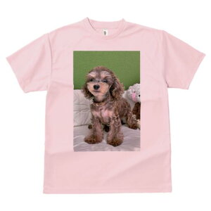 gCv[h TVc Y LbY t@  t  vg JWA 킢 lԗp h ̃fUC ʔ ʂ gCv[h NbV