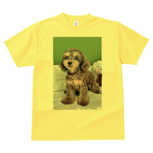 gCv[h TVc Y LbY t@  t  vg JWA 킢 lԗp h ̃fUC ʔ ʂ gCv[h NbV