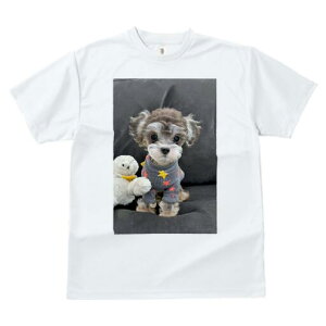 }`[Y,[NV[eA TVc fB[X t@  t  vg JWA 킢 lԗp h ̃fUC ʔ ʂ }`[Y,[NV[e