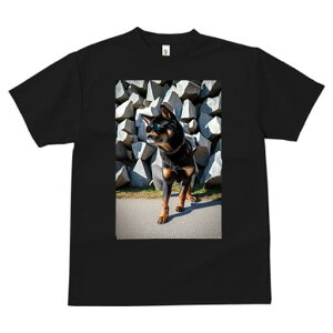 Č TVc fB[X t@  t  vg JWA 킢 lԗp h ̃fUC ʔ TOX Č