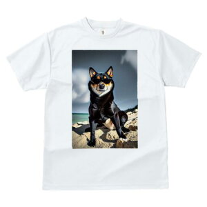 Č TVc fB[X t@  t  vg JWA 킢 lԗp h ̃fUC ʔ TOX Č r[` C