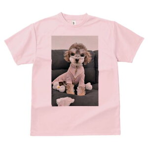 gCv[h TVc Y LbY t@  t  vg JWA 킢 lԗp h ̃fUC ʔ  gCv[h ʂ