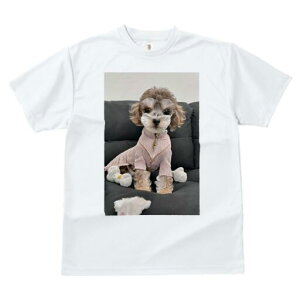 gCv[h TVc fB[X t@  t  vg JWA 킢 lԗp h ̃fUC ʔ  gCv[h ʂ