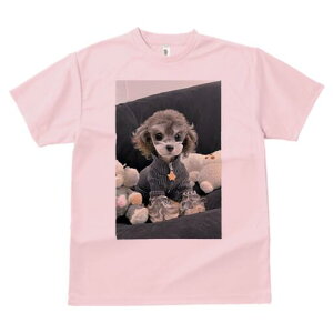 gCv[h TVc Y LbY t@  t  vg JWA 킢 lԗp h ̃fUC ʔ ʂ gCv[h Z[^[