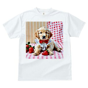 S[fgo[ TVc Y LbY t@  t  vg JWA 킢 lԗp h ̃fUC ʔ C`S S[fgo[ ԂlN^C 