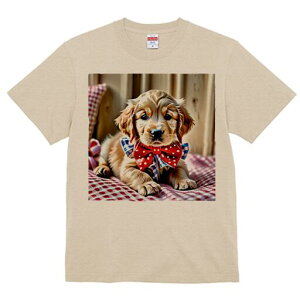 S[fg[o[ TVc Y LbY t@  t  vg JWA 킢 lԗp h ̃fUC ʔ lN^C S[fg[o[ ԂƔ