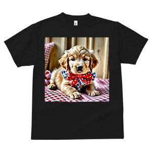 S[fg[o[ TVc fB[X t@  t  vg JWA 킢 lԗp h ̃fUC ʔ lN^C S[fg[o[ ԂƔ