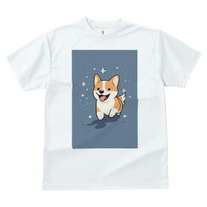 R[M[ TVc fB[X t@  t  vg JWA 킢 lԗp h ̃fUC ʔ  R[M[