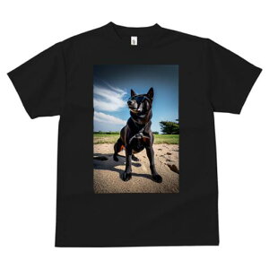 Č TVc fB[X t@  t  vg JWA 킢 lԗp h ̃fUC ʔ TOX Č  