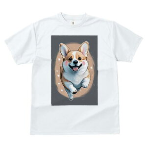 R[M[ TVc Y LbY t@  t  vg JWA 킢 lԗp h ̃fUC ʔ R[M[