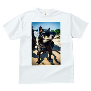 Č TVc fB[X t@  t  vg JWA 킢 lԗp h ̃fUC ʔ TOX Č l n[lX