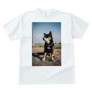 Č TVc fB[X t@  t  vg JWA 킢 lԗp h ̃fUC ʔ TOX Č  