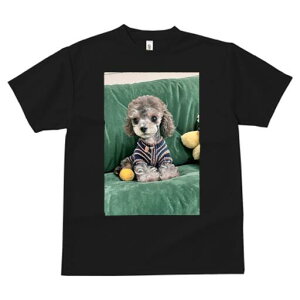 gCv[h TVc fB[X t@  t  vg JWA 킢 lԗp h ̃fUC ʔ Z[^[ gCv[h NbV efBxA {[