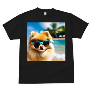 |jA TVc fB[X t@  t  vg JWA 킢 lԗp h ̃fUC ʔ TOX |jA r[` C 