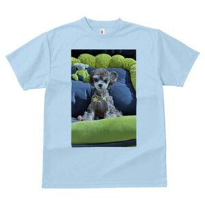 }`[Y,[NV[eA TVc Y LbY t@  t  vg JWA 킢 lԗp h ̃fUC ʔ ʂ }`[Y,[NV[