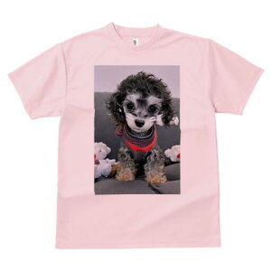 v[h TVc Y LbY t@  t  vg JWA 킢 lԗp h ̃fUC ʔ Z[^[ v[h ʂ