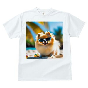 |jA TVc fB[X t@  t  vg JWA 킢 lԗp h ̃fUC ʔ TOX |jA r[` l V̖