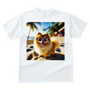 |jA TVc fB[X t@  t  vg JWA 킢 lԗp h ̃fUC ʔ r[` |jA TOX C l