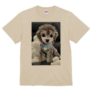 gCv[h TVc Y LbY t@  t  vg JWA 킢 lԗp h ̃fUC ʔ ʂ gCv[h 悾ꂩ