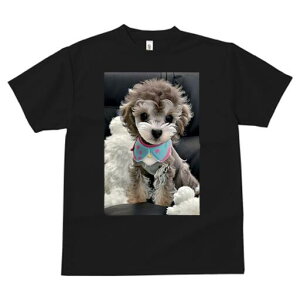 gCv[h TVc fB[X t@  t  vg JWA 킢 lԗp h ̃fUC ʔ ʂ gCv[h 悾ꂩ