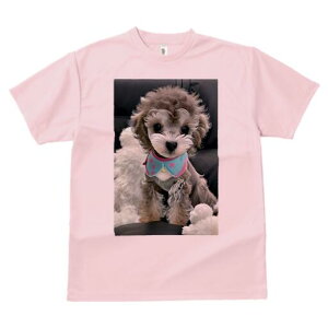 トイプードル Tシャツ メンズ キッズ 犬ファン 半袖 春夏 犬柄 プリント カジュアル かわいい 人間用 個性派 ここだけのデザイン 面白 ぬいぐるみ トイプードル よだれかけ