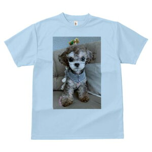 gCv[h TVc Y LbY t@  t  vg JWA 킢 lԗp h ̃fUC ʔ ʂ gCv[h XJ[t