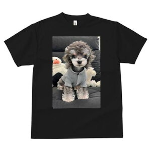 トイプードル Tシャツ レディース 犬ファン 半袖 春夏 犬柄 プリント カジュアル かわいい 人間用 個性派 ここだけのデザイン 面白 ぬいぐるみ トイプードル 服