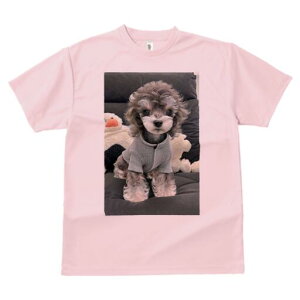 トイプードル Tシャツ メンズ キッズ 犬ファン 半袖 春夏 犬柄 プリント カジュアル かわいい 人間用 個性派 ここだけのデザイン 面白 ぬいぐるみ トイプードル 服