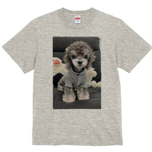 gCv[h TVc Y LbY t@  t  vg JWA 킢 lԗp h ̃fUC ʔ ʂ gCv[h 