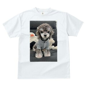 gCv[h TVc fB[X t@  t  vg JWA 킢 lԗp h ̃fUC ʔ ʂ gCv[h 