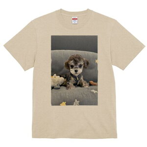 マルチーズ,トイプードル Tシャツ メンズ キッズ 犬ファン 半袖 春夏 犬柄 プリント カジュアル かわいい 人間用 個性派 ここだけのデザイン 面白 ぬいぐるみ マルチーズ,トイプードル 星
