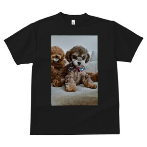 トイプードル Tシャツ レディース 犬ファン 半袖 春夏 犬柄 プリント カジュアル かわいい 人間用 個性派 ここだけのデザイン 面白 ぬいぐるみ トイプードル バンダナ