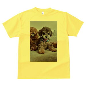 トイプードル Tシャツ メンズ キッズ 犬ファン 半袖 春夏 犬柄 プリント カジュアル かわいい 人間用 個性派 ここだけのデザイン 面白 ぬいぐるみ トイプードル バンダナ