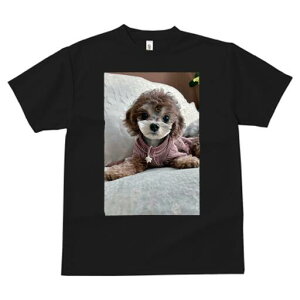 gCv[h TVc fB[X t@  t  vg JWA 킢 lԗp h ̃fUC ʔ ʂ gCv[h NbV xbh 