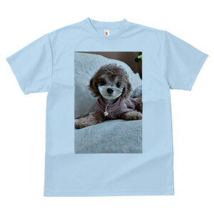 gCv[h TVc Y LbY t@  t  vg JWA 킢 lԗp h ̃fUC ʔ ʂ gCv[h NbV xbh 