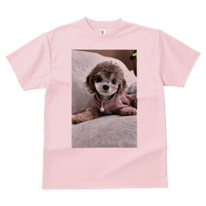 gCv[h TVc Y LbY t@  t  vg JWA 킢 lԗp h ̃fUC ʔ ʂ gCv[h NbV xbh 