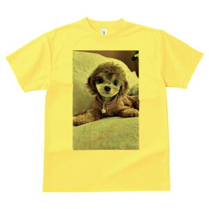 gCv[h TVc Y LbY t@  t  vg JWA 킢 lԗp h ̃fUC ʔ ʂ gCv[h NbV xbh 