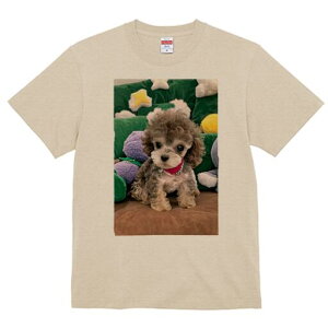 gCv[h TVc Y LbY t@  t  vg JWA 킢 lԗp h ̃fUC ʔ ʂ gCv[h NbV 