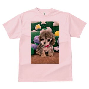 gCv[h TVc Y LbY t@  t  vg JWA 킢 lԗp h ̃fUC ʔ ʂ gCv[h NbV 